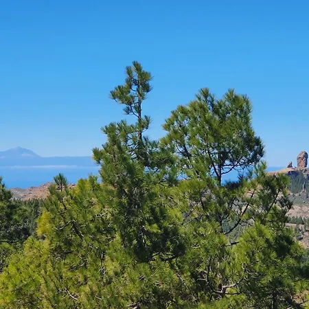Casa Cueva Paquito Vega de San Mateo